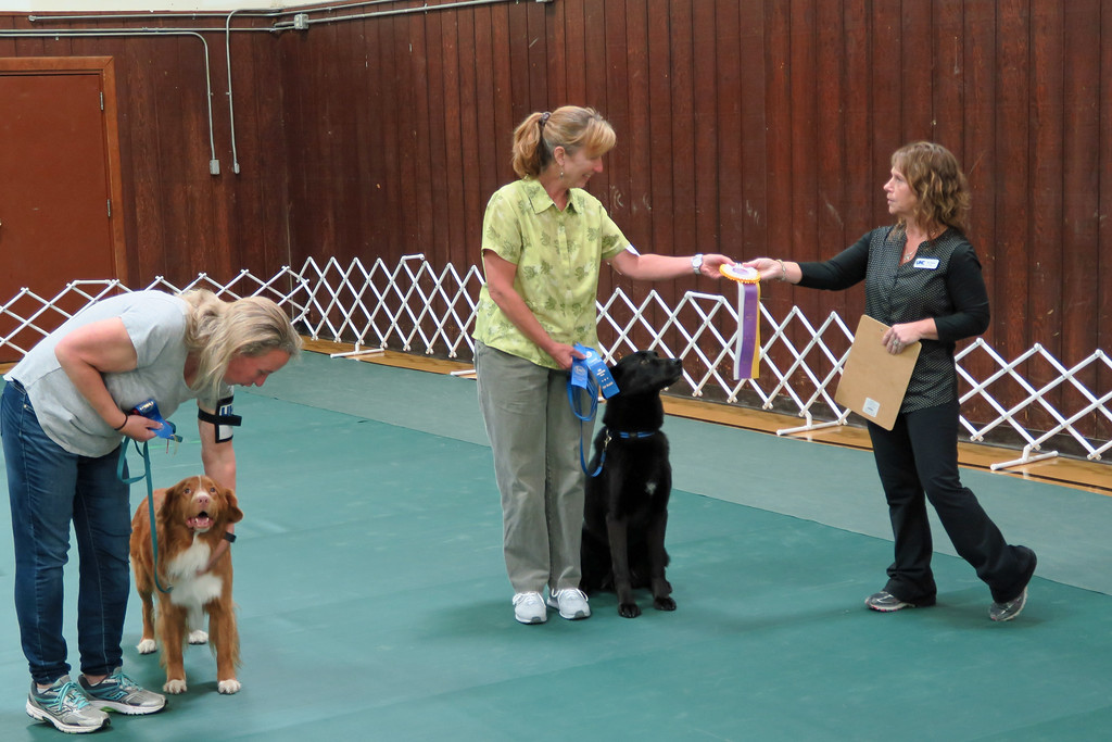 capital-kennel-club-of-juneau-ukc-obedience-trial-jan-2020